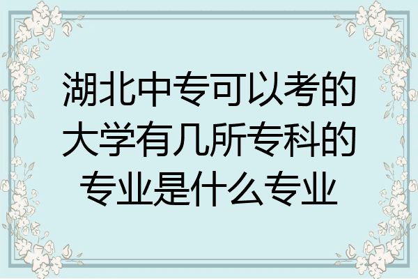 湖北中专可以考的大学有几所专科的专业是什么专业
