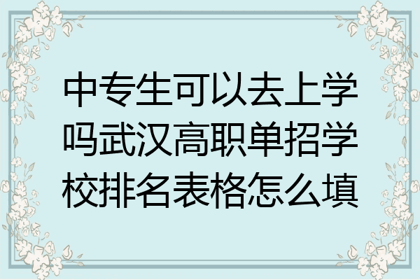 中专生可以去上学吗武汉高职单招学校排名表格怎么填