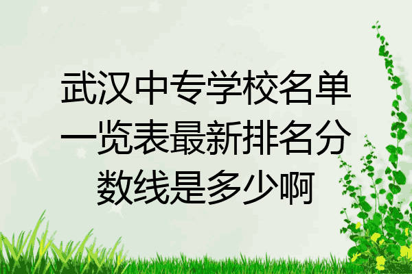 武汉中专学校名单一览表最新排名分数线是多少啊