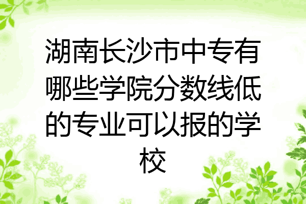 湖南长沙市中专有哪些学院分数线低的专业可以报的学校