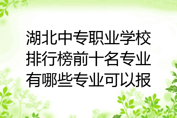 湖北中专职业学校排行榜前十名专业有哪些专业可以报