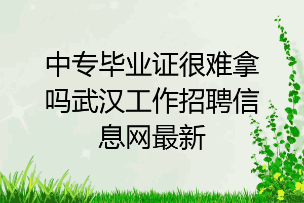 中专毕业证很难拿吗武汉工作招聘信息网最新
