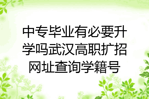 中专毕业有必要升学吗武汉高职扩招网址查询学籍号