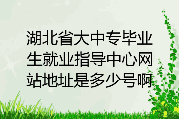 湖北省大中专毕业生就业指导中心网站地址是多少号啊