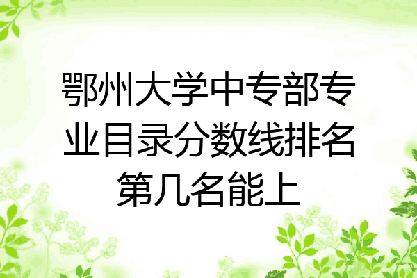 鄂州大学中专部专业目录分数线排名第几名能上