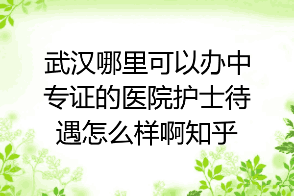 武汉哪里可以办中专证的医院护士待遇怎么样啊知乎
