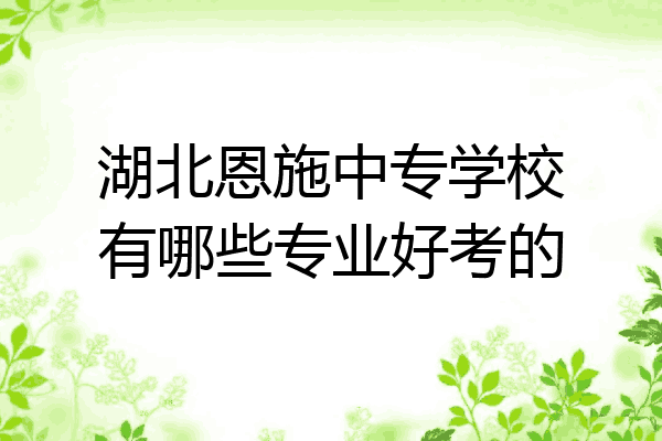 湖北恩施中专学校有哪些专业好考的