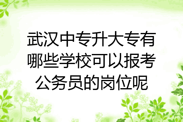 武汉中专升大专有哪些学校可以报考公务员的岗位呢