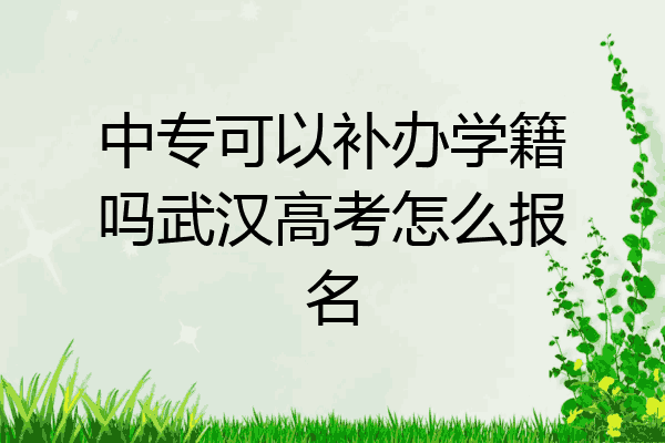 中专可以补办学籍吗武汉高考怎么报名