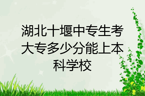 湖北十堰中专生考大专多少分能上本科学校