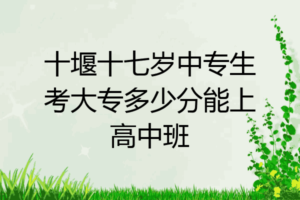 十堰十七岁中专生考大专多少分能上高中班