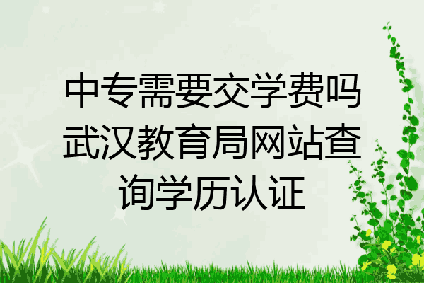 中专需要交学费吗武汉教育局网站查询学历认证
