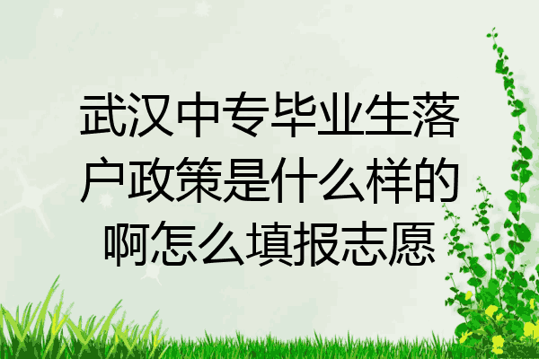 武汉中专毕业生落户政策是什么样的啊怎么填报志愿