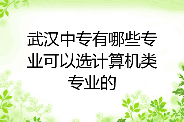 武汉中专有哪些专业可以选计算机类专业的