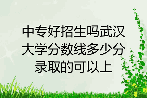 中专好招生吗武汉大学分数线多少分录取的可以上
