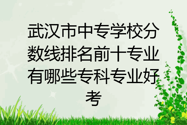 武汉市中专学校分数线排名前十专业有哪些专科专业好考