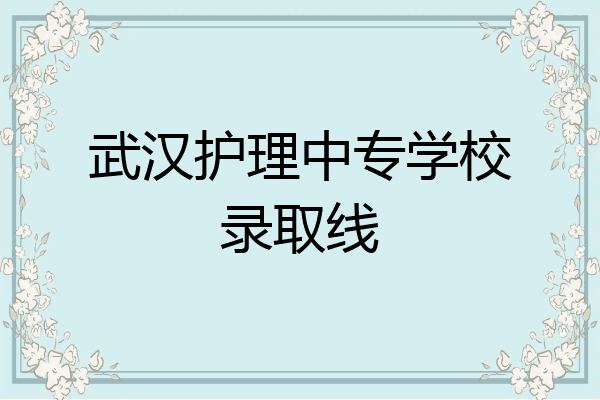 武汉护理中专学校录取线