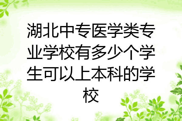 湖北中专医学类专业学校有多少个学生可以上本科的学校