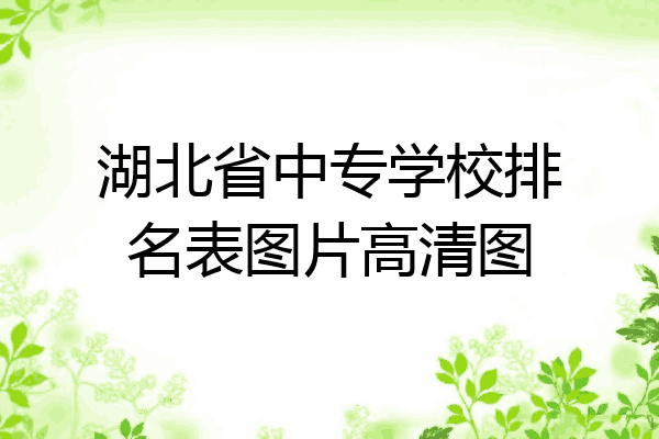 湖北省中专学校排名表图片高清图