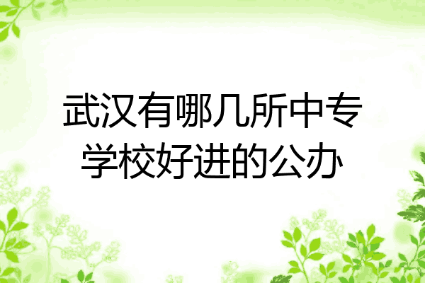 武汉有哪几所中专学校好进的公办