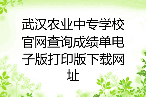 武汉农业中专学校官网查询成绩单电子版打印版下载网址