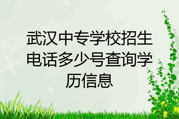 武汉中专学校招生电话多少号查询学历信息