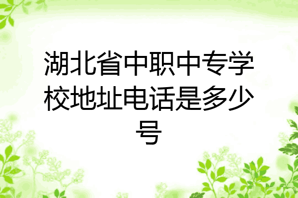 湖北省中职中专学校地址电话是多少号