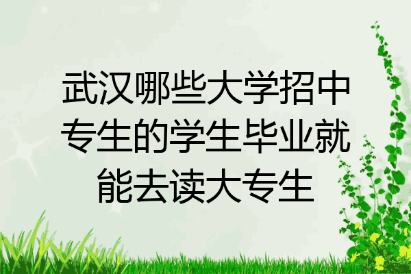 武汉哪些大学招中专生的学生毕业就能去读大专生