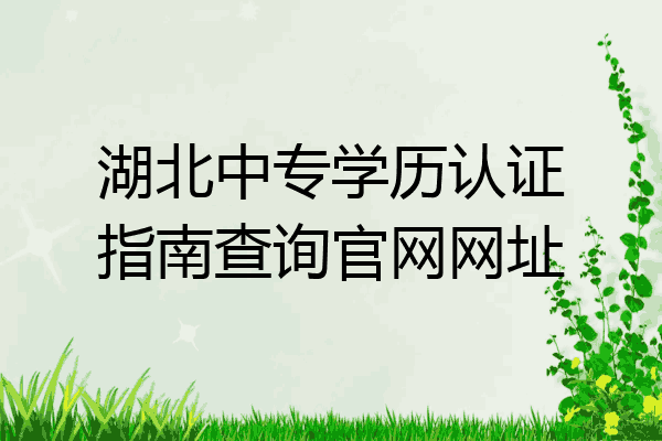 湖北中专学历认证指南查询官网网址