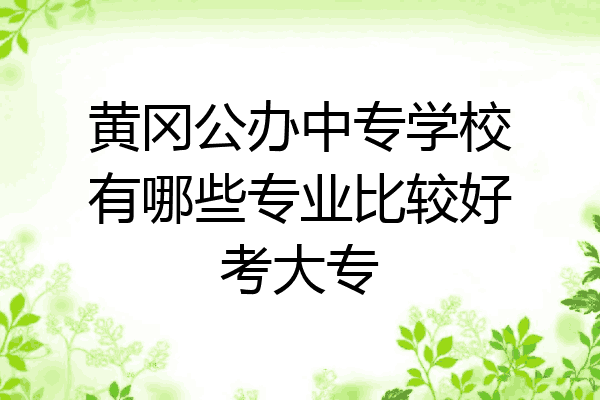 黄冈公办中专学校有哪些专业比较好考大专
