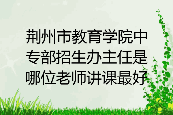 荆州市教育学院中专部招生办主任是哪位老师讲课最好