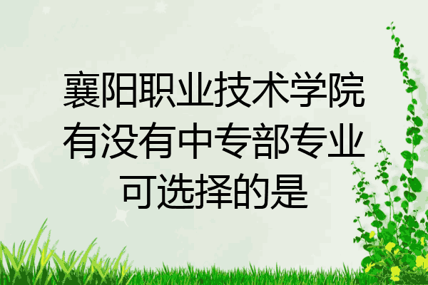 襄阳职业技术学院有没有中专部专业可选择的是