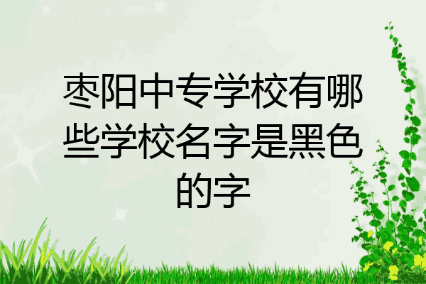 枣阳中专学校有哪些学校名字是黑色的字