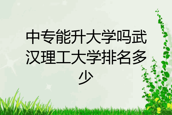 中专能升大学吗武汉理工大学排名多少