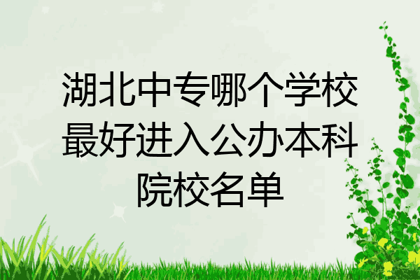 湖北中专哪个学校最好进入公办本科院校名单