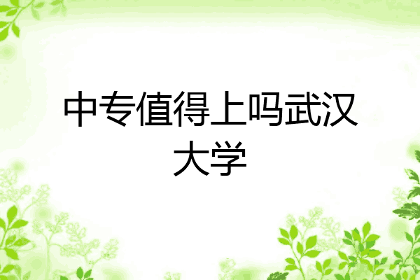 中专值得上吗武汉大学