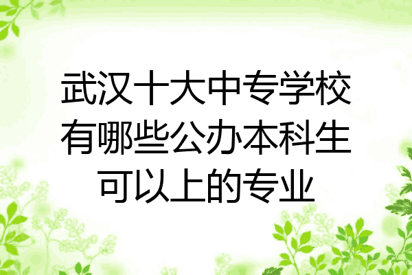 武汉十大中专学校有哪些公办本科生可以上的专业