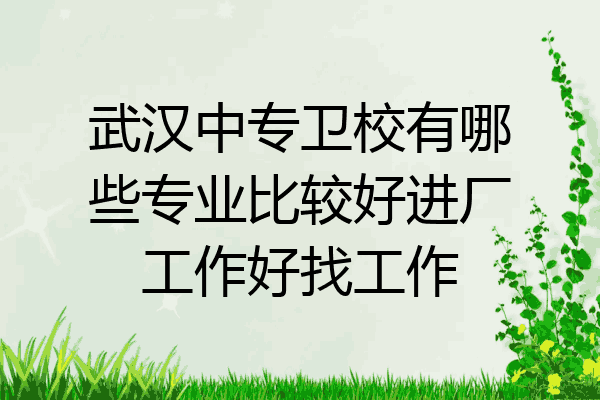 武汉中专卫校有哪些专业比较好进厂工作好找工作