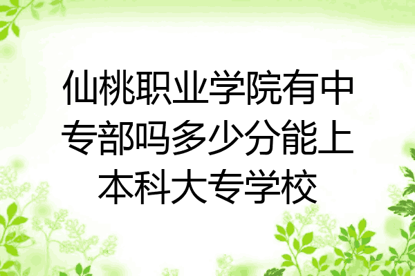 仙桃职业学院有中专部吗多少分能上本科大专学校