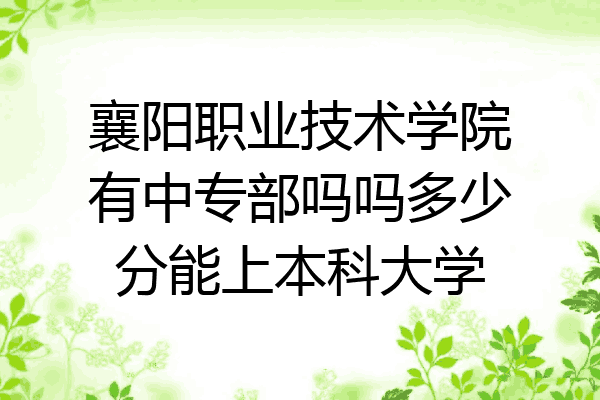 襄阳职业技术学院有中专部吗吗多少分能上本科大学