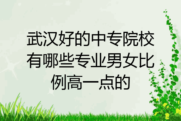 武汉好的中专院校有哪些专业男女比例高一点的