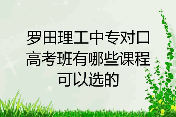 罗田理工中专对口高考班有哪些课程可以选的