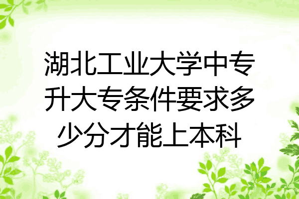 湖北工业大学中专升大专条件要求多少分才能上本科