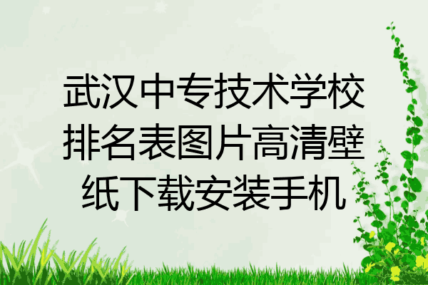 武汉中专技术学校排名表图片高清壁纸下载安装手机