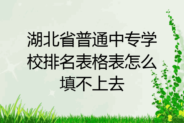 湖北省普通中专学校排名表格表怎么填不上去