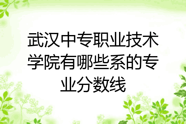 武汉中专职业技术学院有哪些系的专业分数线