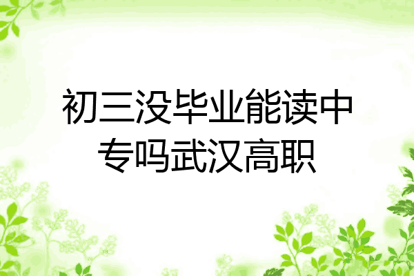 初三没毕业能读中专吗武汉高职