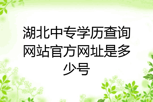 湖北中专学历查询网站官方网址是多少号