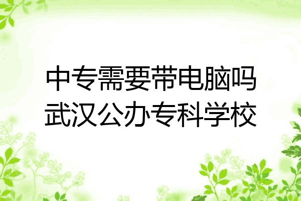 中专需要带电脑吗武汉公办专科学校