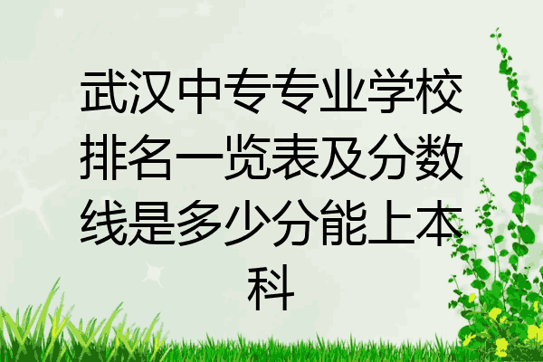 武汉中专专业学校排名一览表及分数线是多少分能上本科